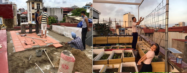 Dỡ mái nhà làm vườn